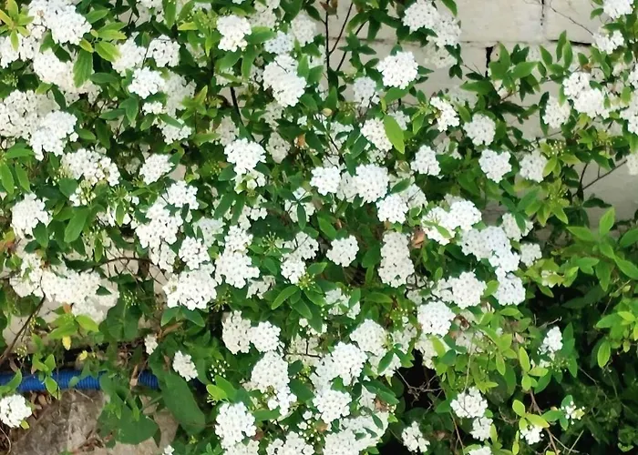 Anna's Beautiful アパート