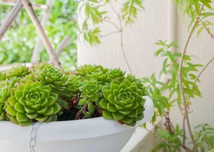 Anna's Beautiful アパート