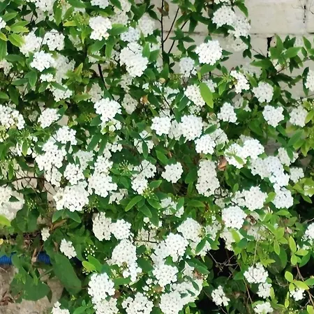 Anna's Beautiful Apartment