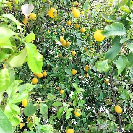 Appartement Anna's Beautiful *